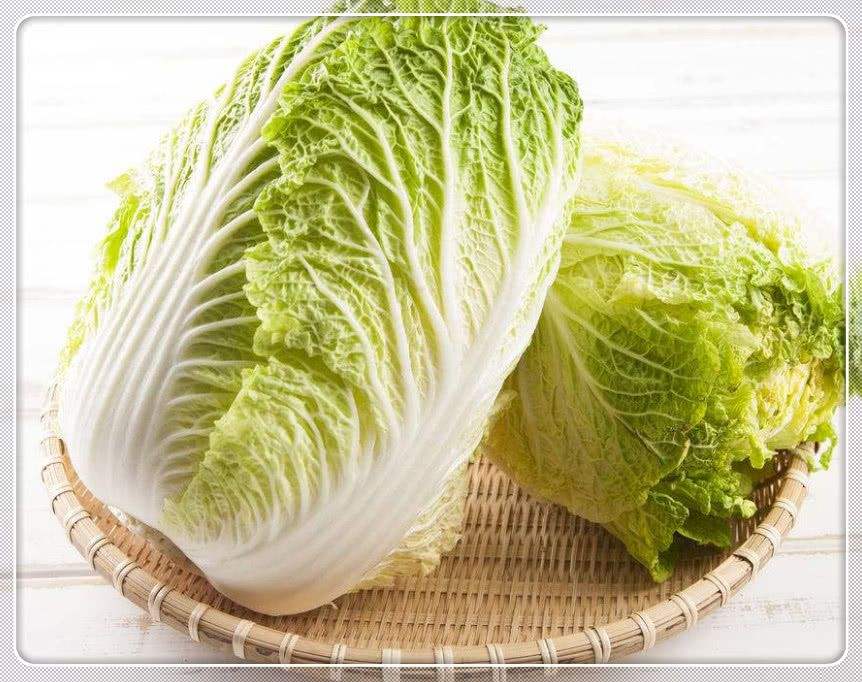 白菜