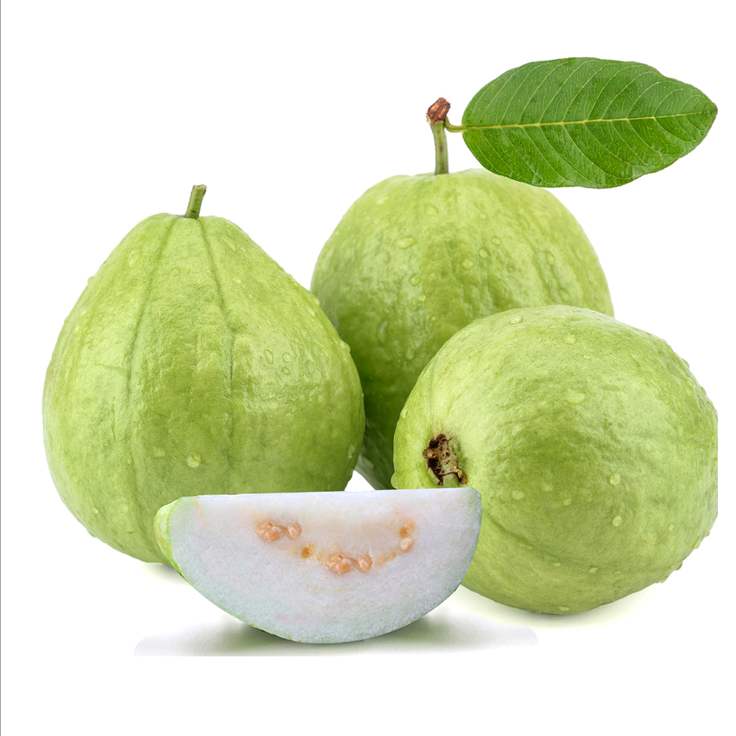 番石榴